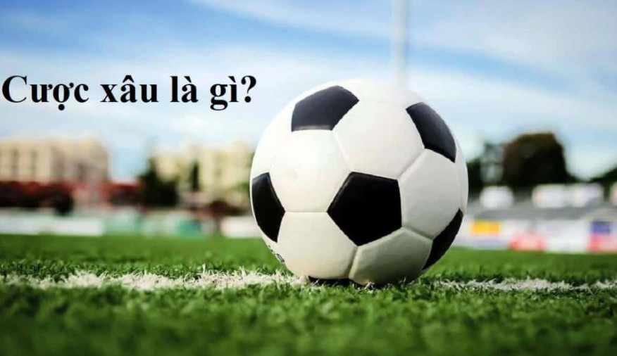 Cược Xâu Sunwin Trong Bóng Đá Dễ Hiểu Nhất Việt Nam 2024 1 Tìm hiểu Cược Xâu Sunwin là gì?