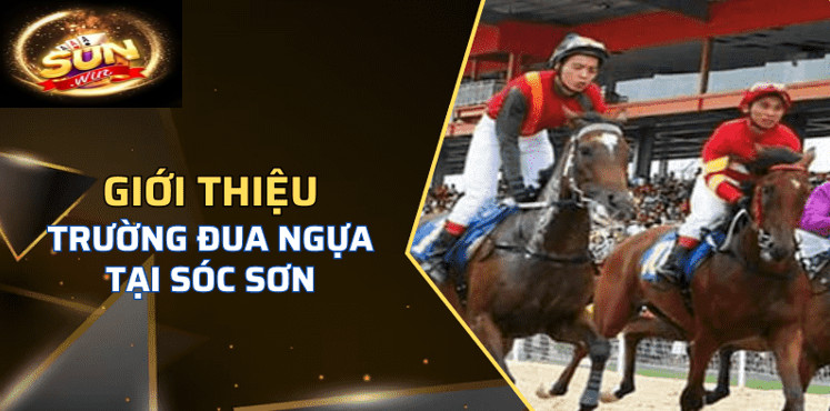 Trường Đua Ngựa Sóc Sơn Sunwin Hấp Dẫn Người Chơi 1 Thông tin chung về trường Đua Ngựa Sóc Sơn Sunwin