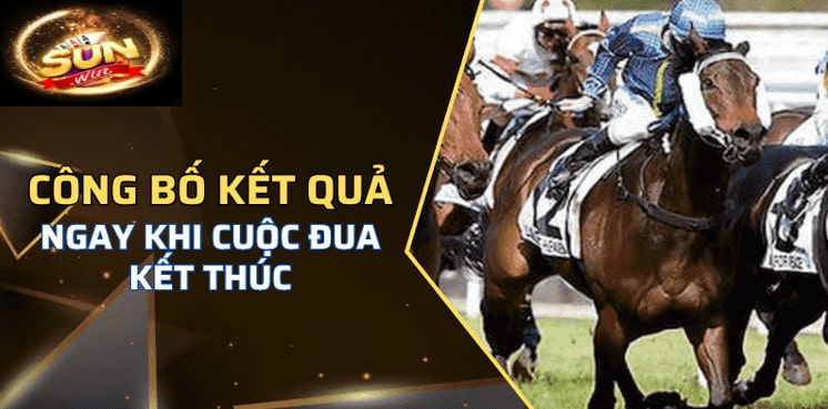 Trường Đua Ngựa Sóc Sơn Sunwin Hấp Dẫn Người Chơi 3 Công bố kết quả từ trường Đua Ngựa Sóc Sơn Sunwin