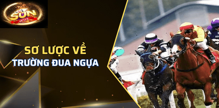 Trường Đua Ngựa Sunwin Nơi Quy Tụ Những Cuộc Đua Sôi Động 1 Khám phá sơ lược về Trường Đua Ngựa Sunwin