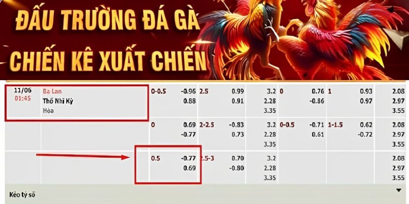 Khám Phá Tỷ Lệ Kèo Bóng Đá – Các Kèo Phổ Biến 2024 4 Kèo chấp nửa trái (Tỷ lệ 0.5 trái)